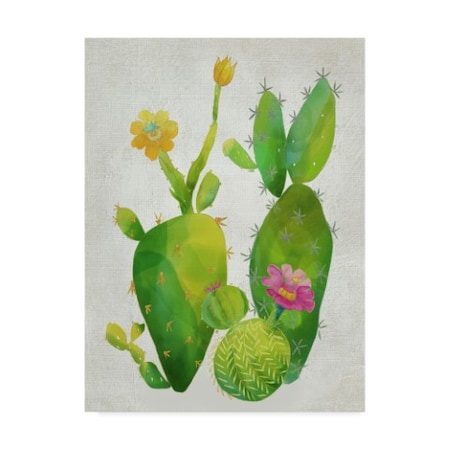 Chariklia Zarris 'Cacti Collection Ii' Canvas Art,24x32
